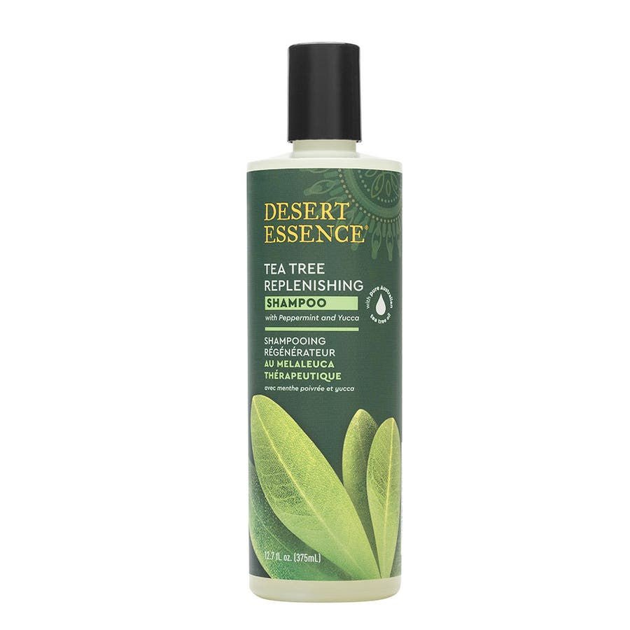 Desert Essence Melaleuca Regenerating Shampoo 382ml (12.95fl oz) - FrenchBeautyHub