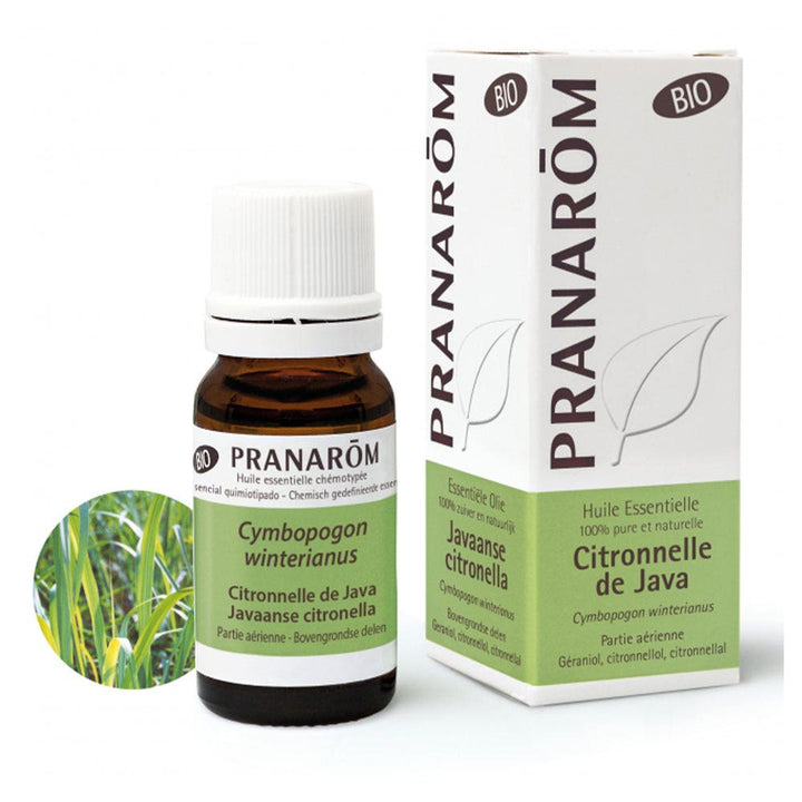 Pranarôm Essential oils Java Lemongrass Essential Oil 10 ml (0.34fl oz)