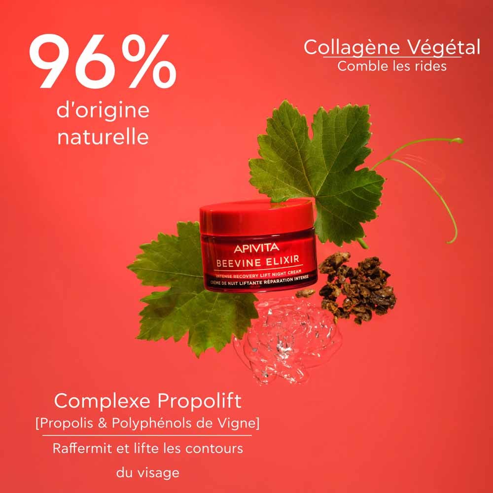 APIVITA BEEVINE ELIXIR LE REMING NIGHT CRAME 50 ml (1.69fl oz)