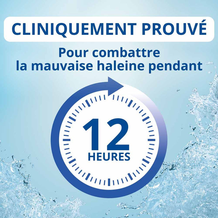Cb12 Mouth Wash 12 Hour Good Breath Arôme Menthe 250ml (8.45fl oz)