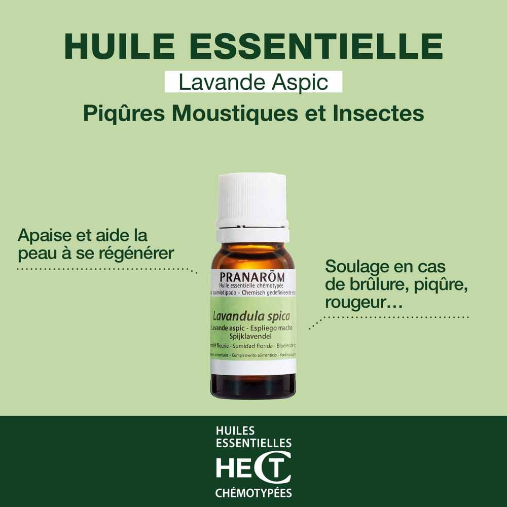Pranarôm Essential oils Lavender aspic essential oil 10ml (0.34fl oz) - FrenchBeautyHub
