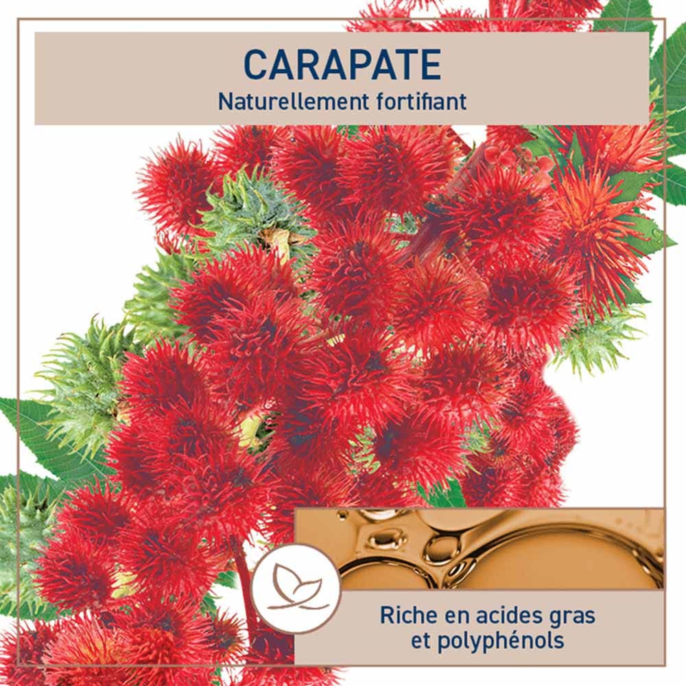 Natessance Black castor oil for very dry curly or frizzy hair 100 ml (3.38fl oz)