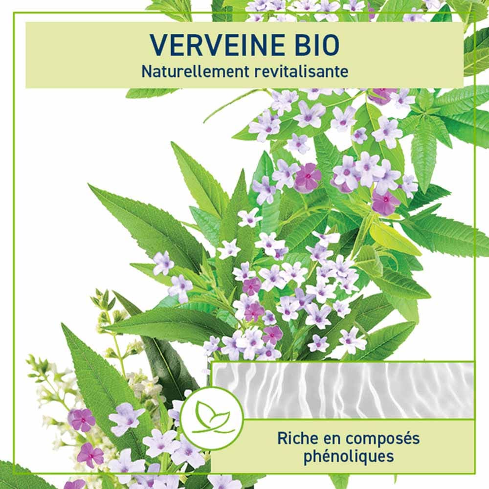 Natessance Shower Lemon verbena shower shampoo 1 l