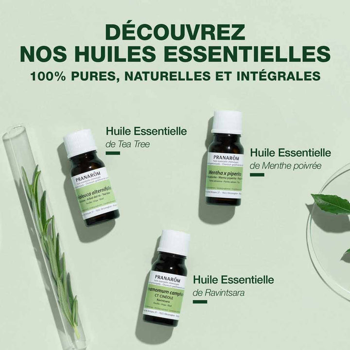 Pranarôm Essential oils Organic Spike Lavender Essential Oil 10 ml (0.34fl oz)