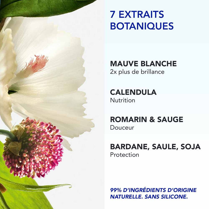 Phyto Paris Phyto7 Universal day cream universal day cream for all skin types 50ml (1.69fl oz)