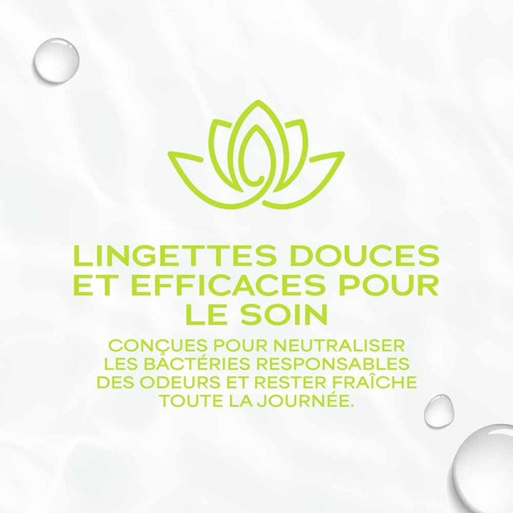 Waterwipes Freshness intimate wipes 28 units