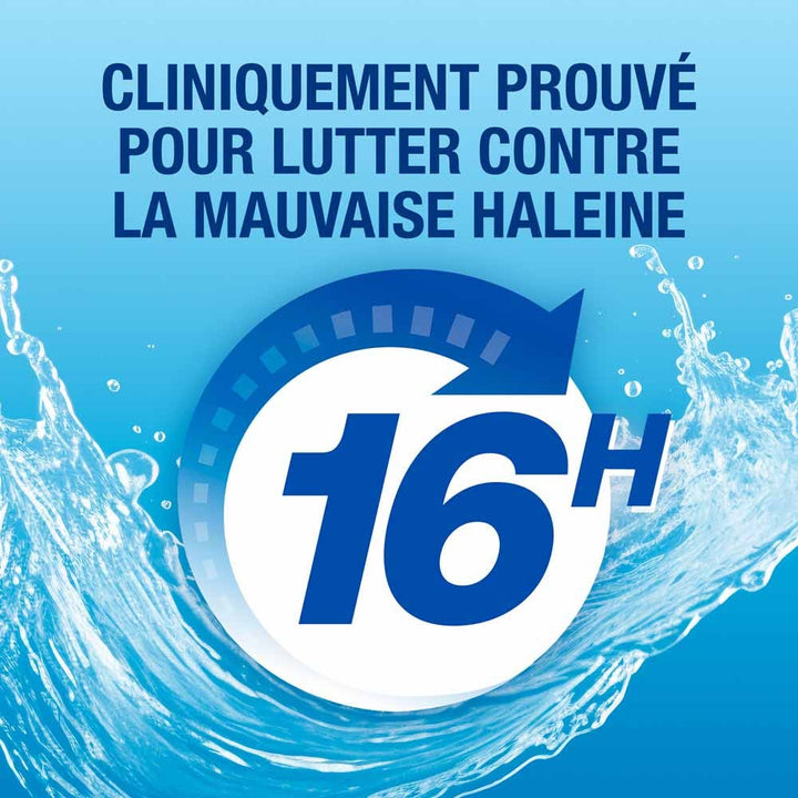 Cb12 Alcohol-Free Mouthwash mild peppermint flavour 2 x 500ml (16.91fl oz)