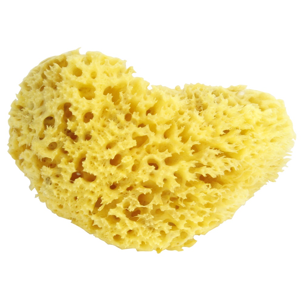 Estipharm Natural Ultra Soft Sponge