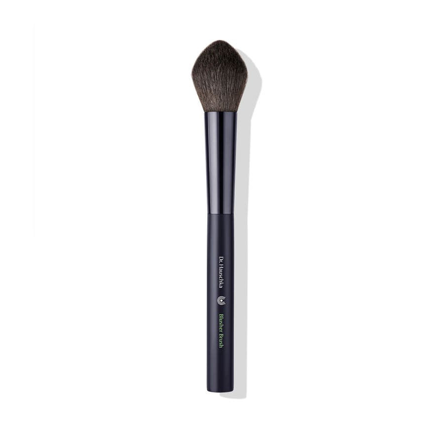 Dr. Hauschka Blush brush