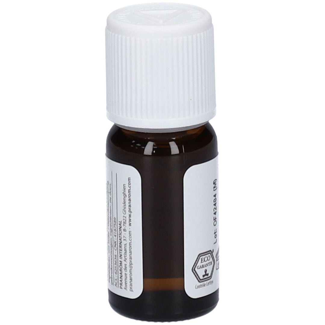 Pranarôm Pranabb Óleo de Massagem Orgânico Defesa Natural A partir de 3kg 10ml