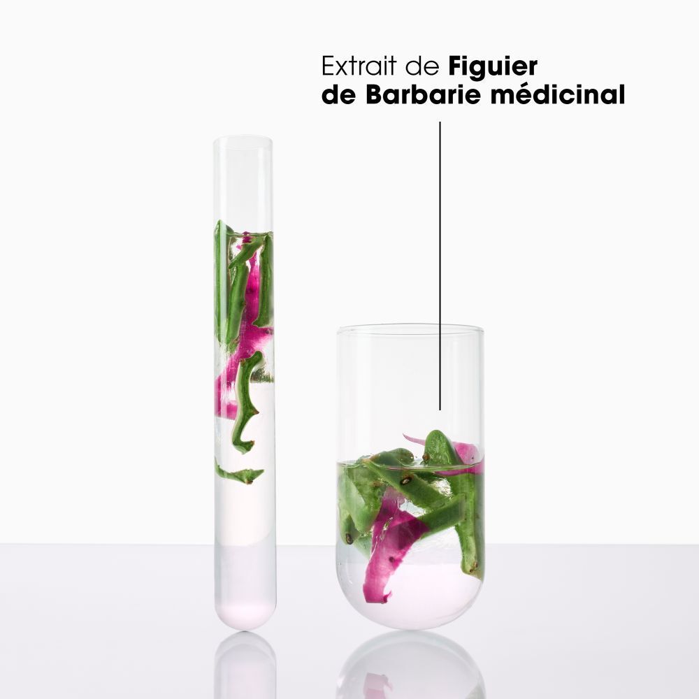 Klorane 72h Hydration & Shine Mascarilla redensificante de higo chumbo 250ml