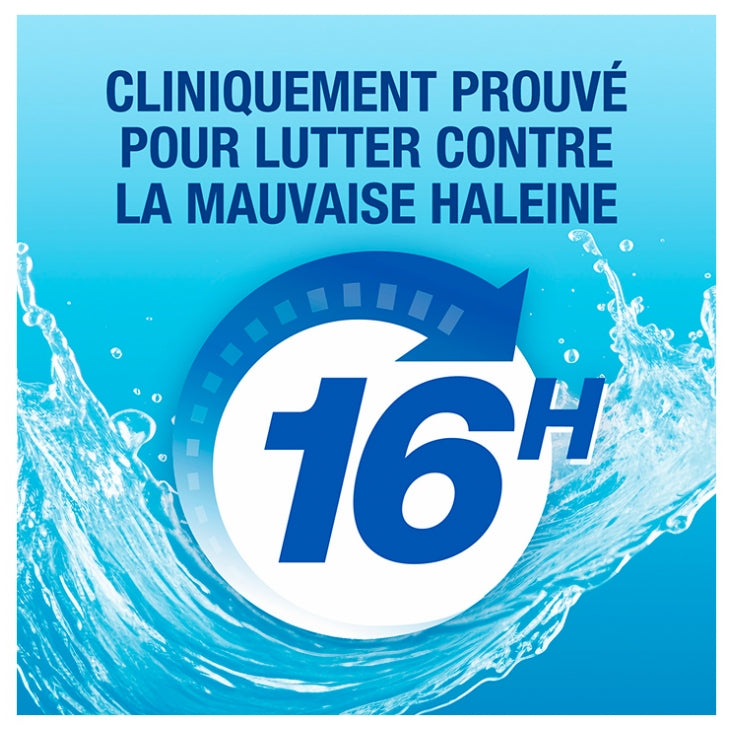 Cb12 Sensitive Colutorio para encías con sabor a menta fresca y protección de 12 horas 500 ml