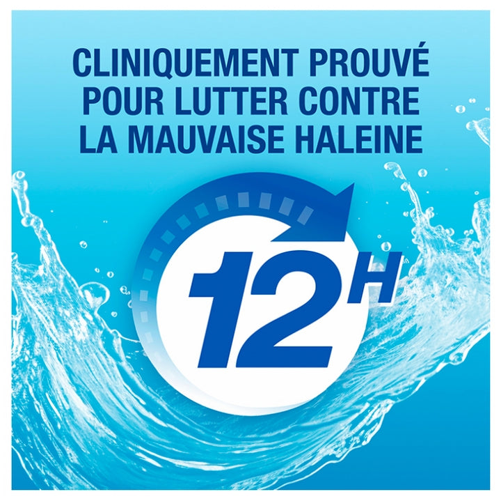 CB12 Mint بخاخ بنكهة النعناع 15ml