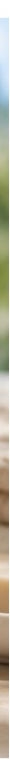 Embryolisse Foaming Cream-Milk Lotion 200ml (6.76 fl oz)