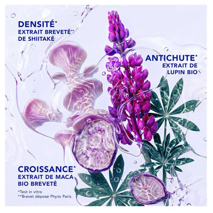 Phyto Phytocyane شامبو منشّط للرجال