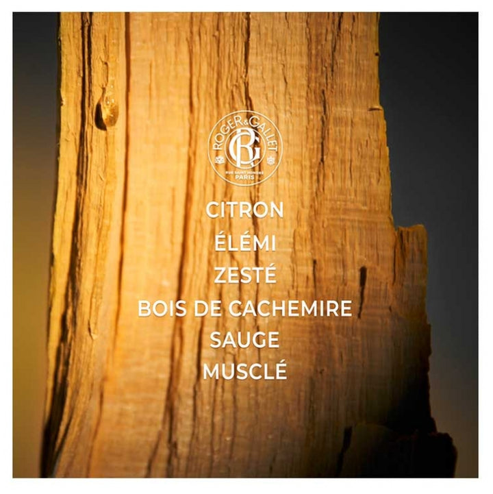 Roger & Gallet Cologne Twist Cofanetto Festa del Papà Cologne Twist + Gel Doccia 300 ml