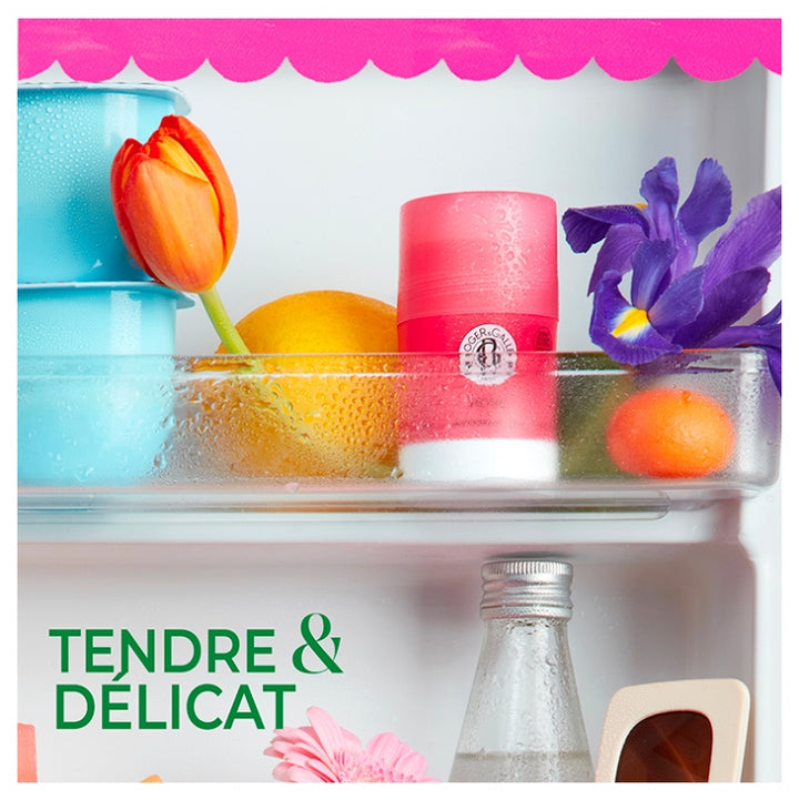 Roger & Gallet Rose مزيل عرق ستيك 24h 50g