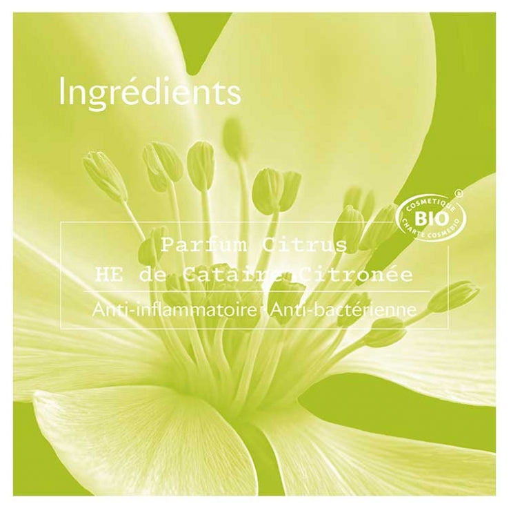 Sanoflore Deodorants مزيل عرق عضوي رول-أون 24 ساعة Vent De Citrus 2x 50ml