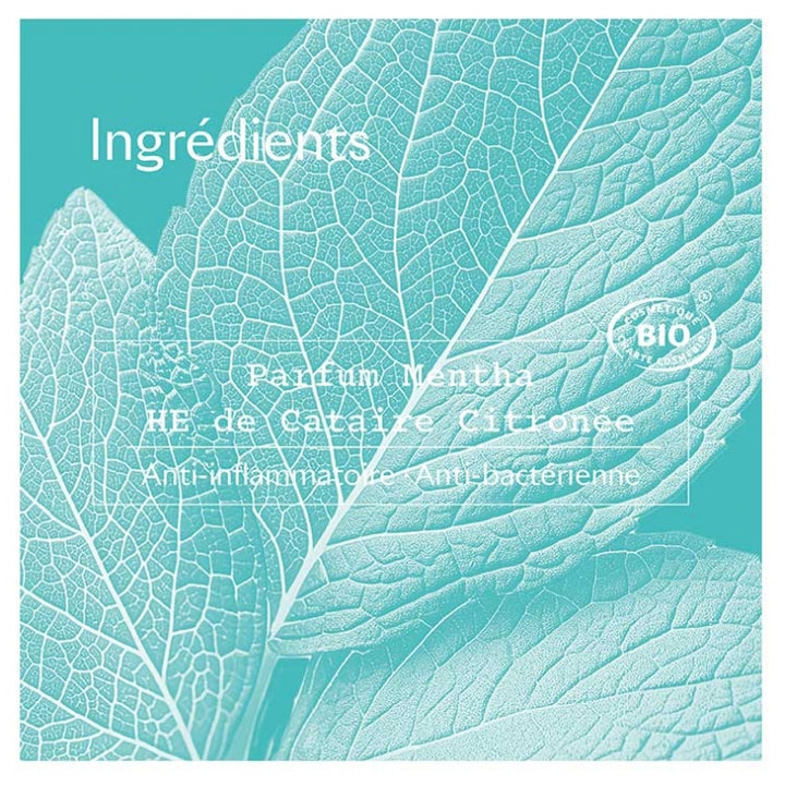 Sanoflore Deodorants Mint organic freshness and 48h anti-marks 50 ml (1.69fl oz)