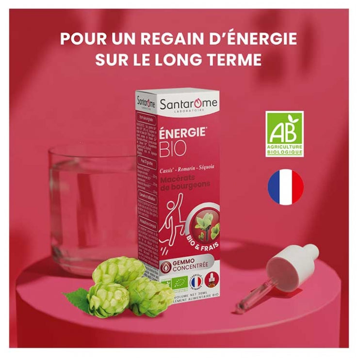 Santarome Gemmo Macerado de yemas energizante ecológico 30ml