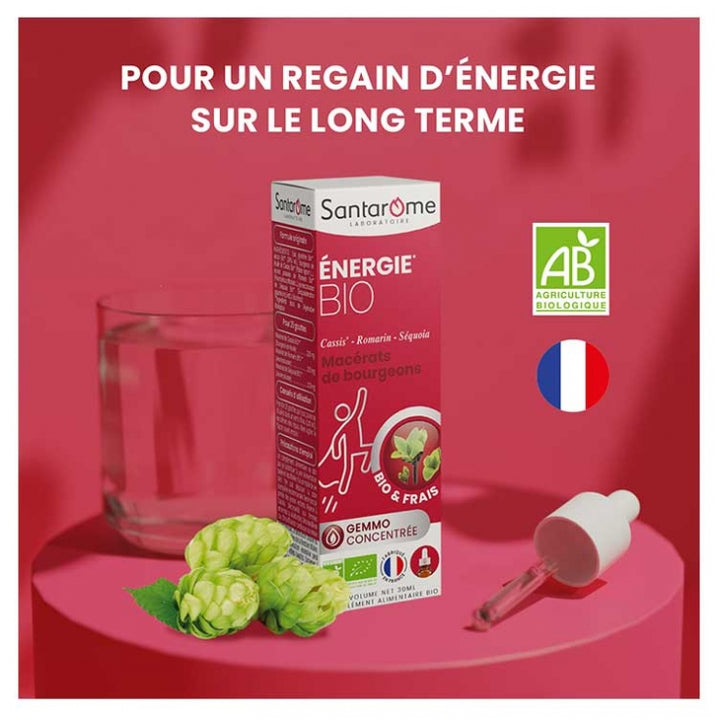 Santarome Gemmo Macerado de yemas energizante ecológico 30ml