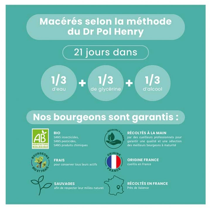 Santarome Gemmo Macerado de yemas energizante ecológico 30ml
