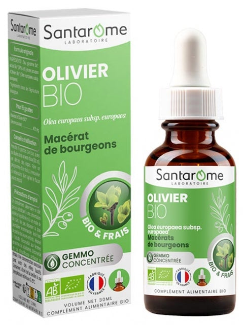 Santarome Gemmo Walnut Bioes للهضم والراحة المعوية 30ml