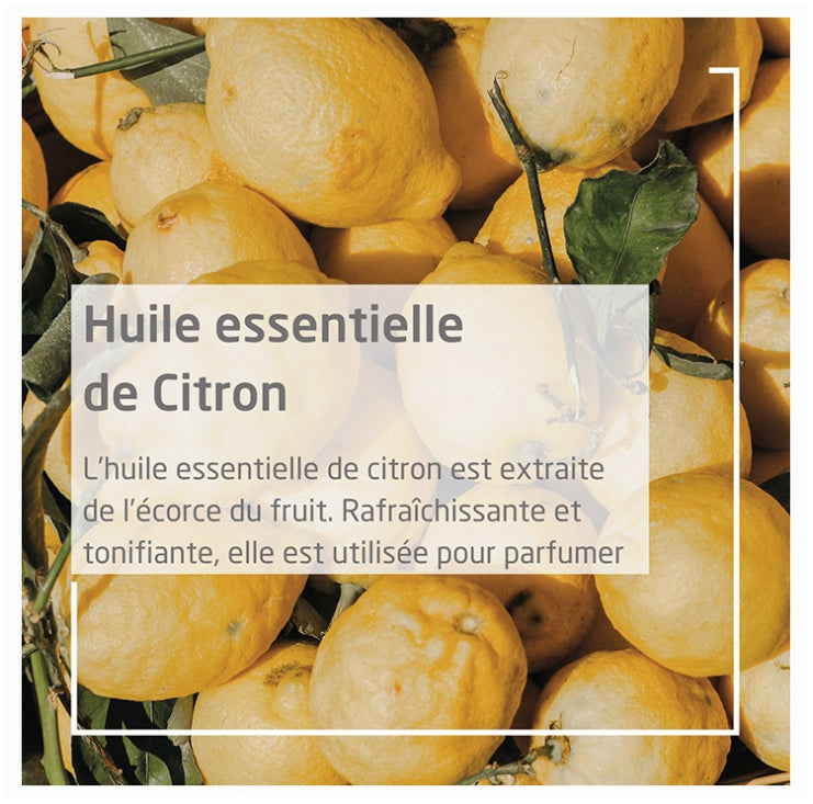 Weleda Citrus Crème pour les mains 50ml