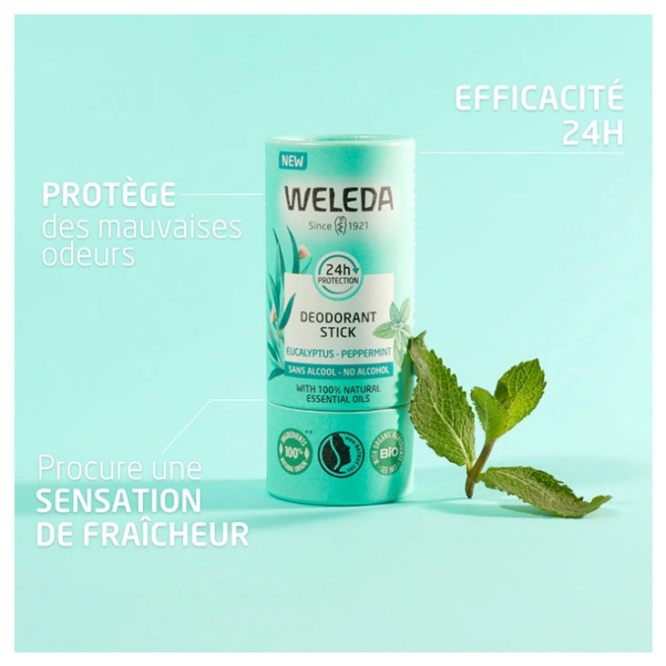 Weleda Deodorants Déodorant en stick 24h Eucalyptus Peppermint 50g