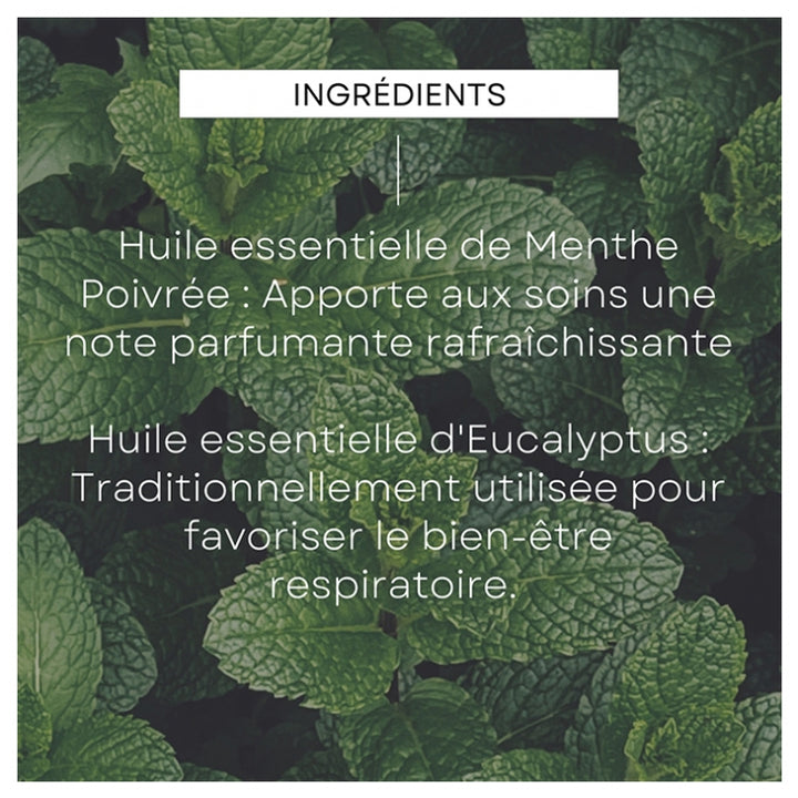 Weleda Deodorants Déodorant en stick 24h Eucalyptus Peppermint 50g