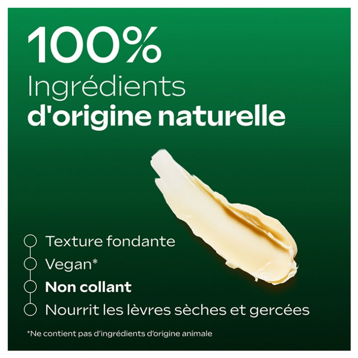 Weleda Skin Food Stick à lèvres 4.8g (0.17oz)